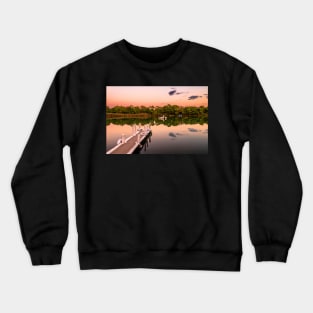 The rare, amphibious unicorn of Pineios river Crewneck Sweatshirt